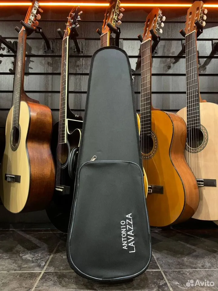 Скрипка 4/4 (полный комплект) - изображение 9