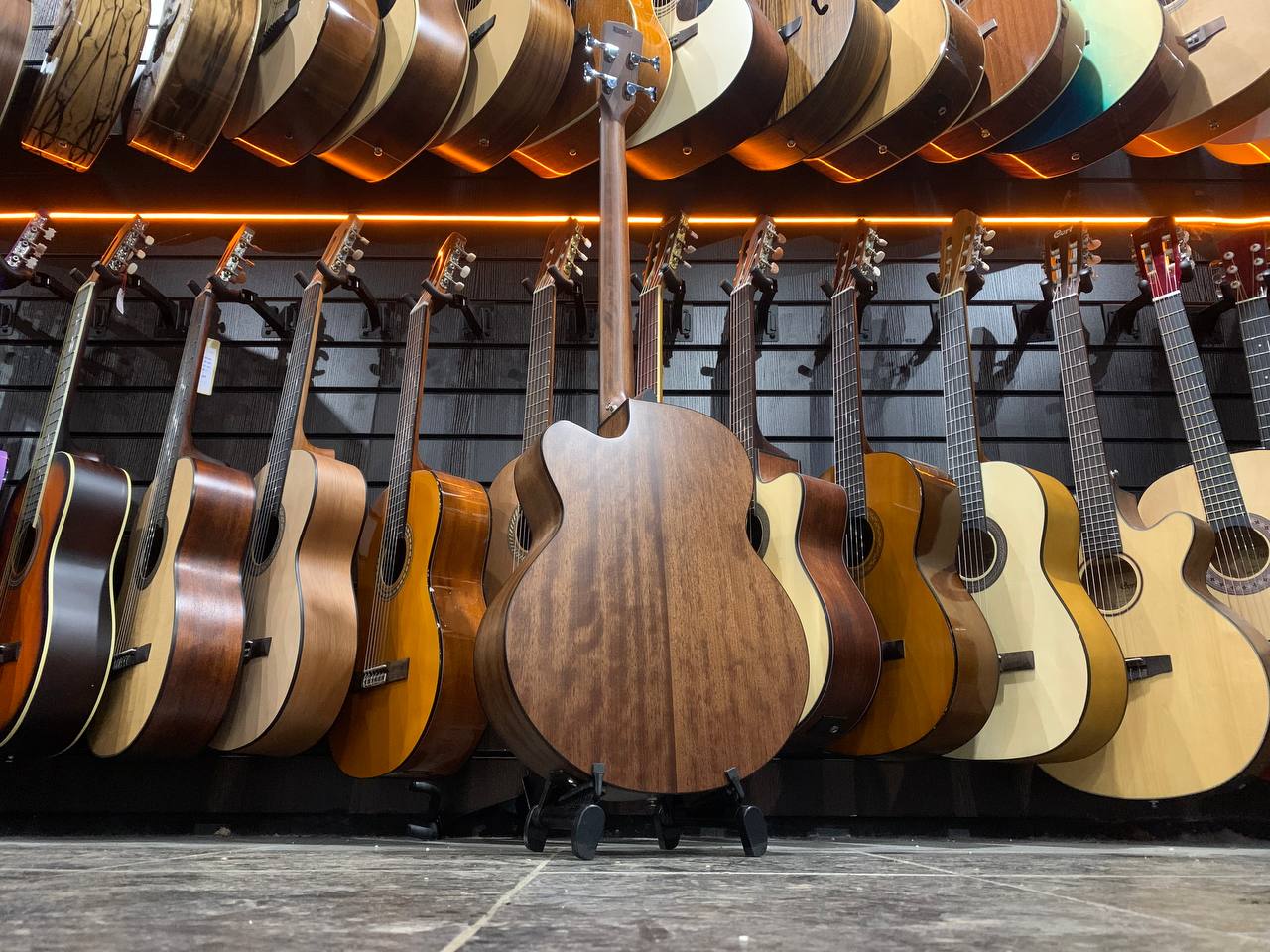 Акустическая Бас Гитара Cort SJB5F-NS- Series - изображение 2