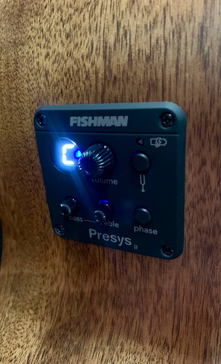 Акустическая Бас Гитара Cort SJB5F-NS- Series - изображение 5