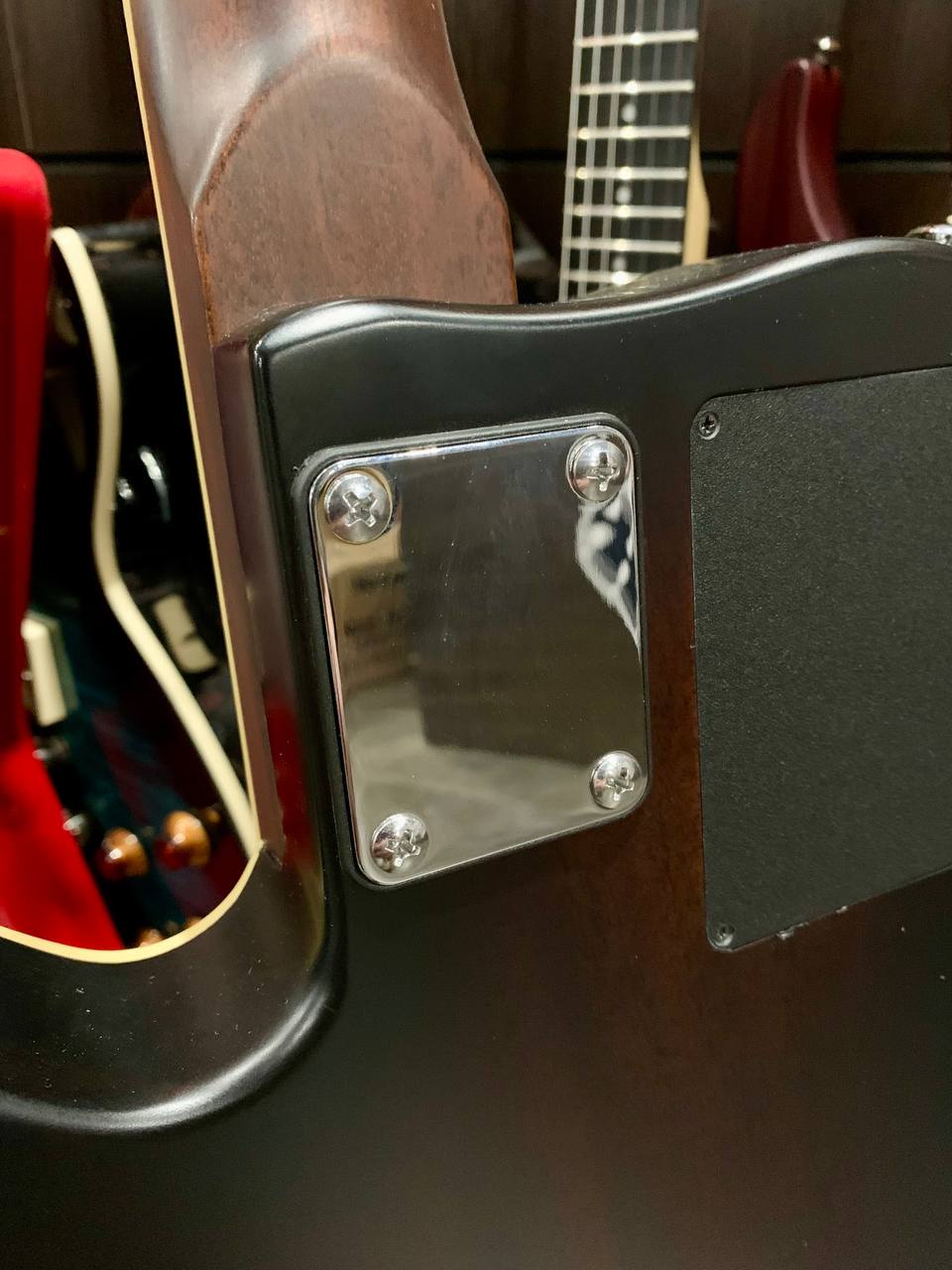 Электрогитара Amolly Godin - изображение 8