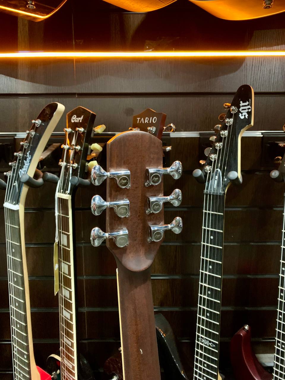 Электрогитара Amolly Godin - изображение 10