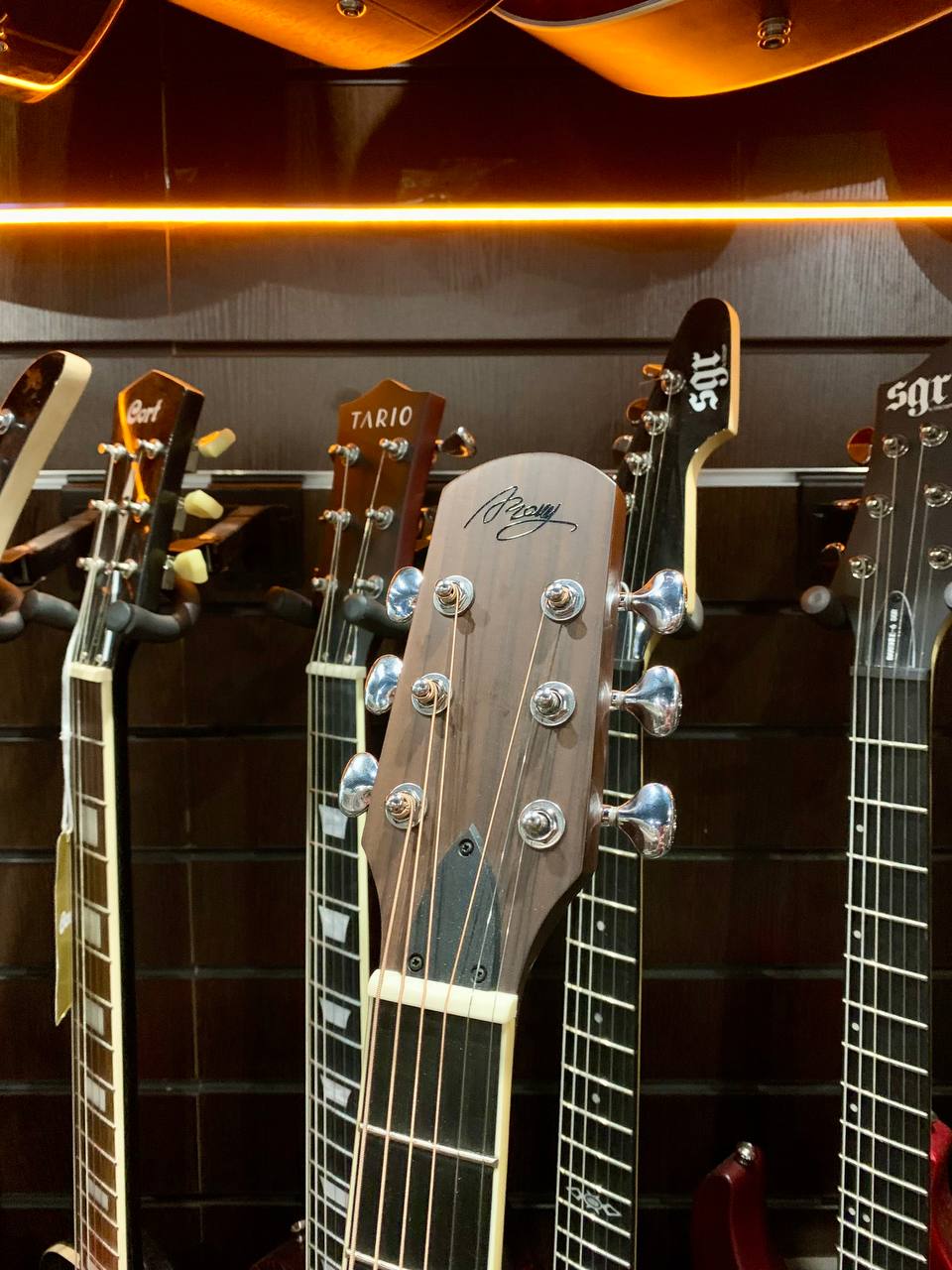 Электрогитара Amolly Godin - изображение 9