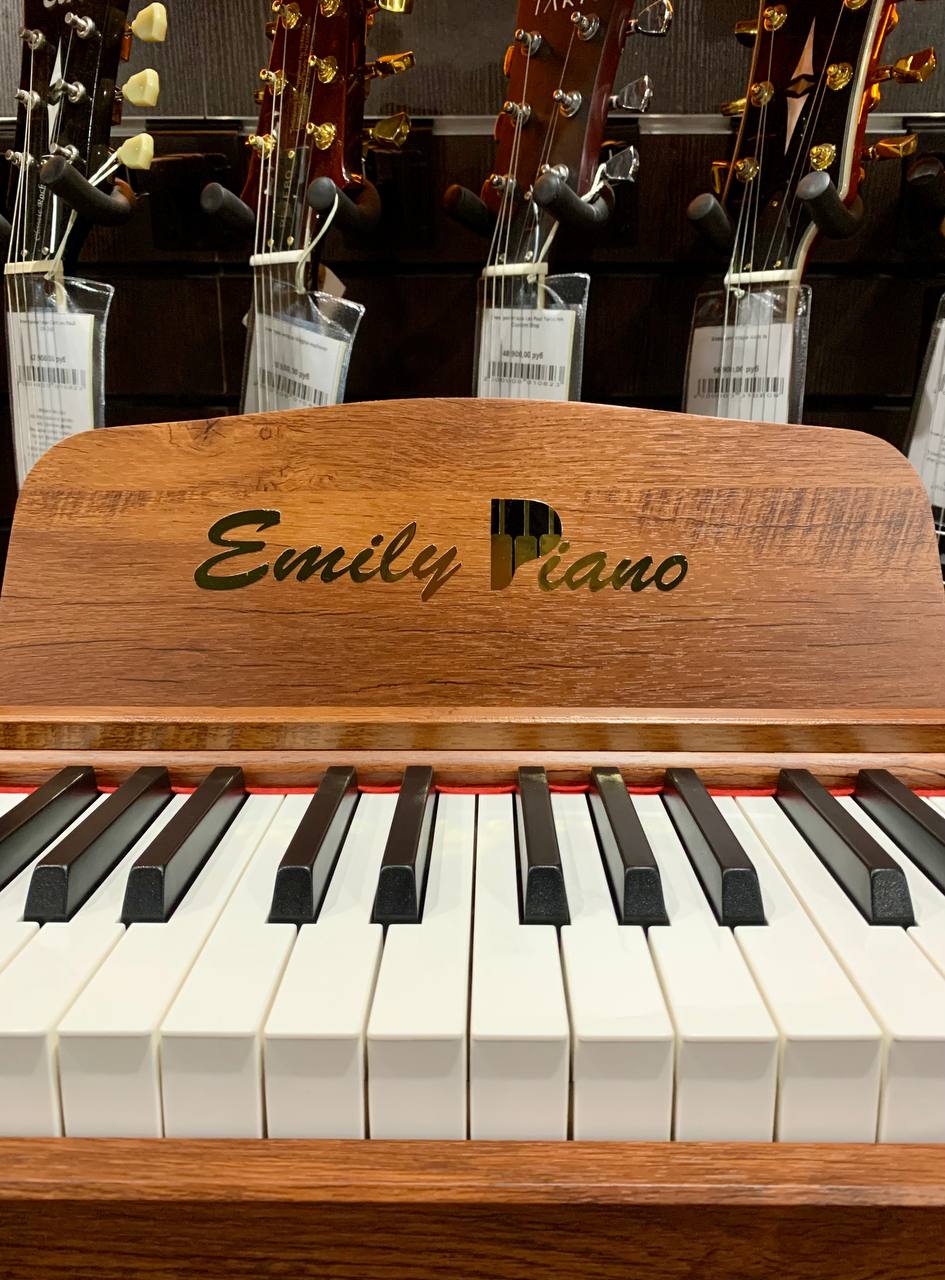 Цифровое Пианино для Музыкальной Школы Emily D-47 BR - изображение 6