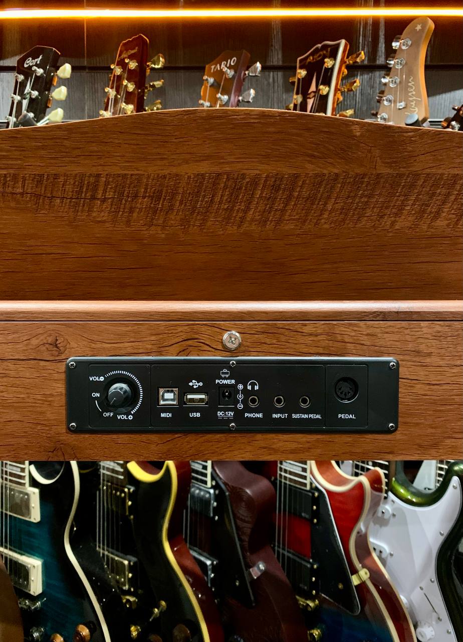 Цифровое Пианино для Музыкальной Школы Emily D-47 BR - изображение 10