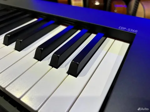 Цифровое Пианино совмещенное с синтезатором Casio S360