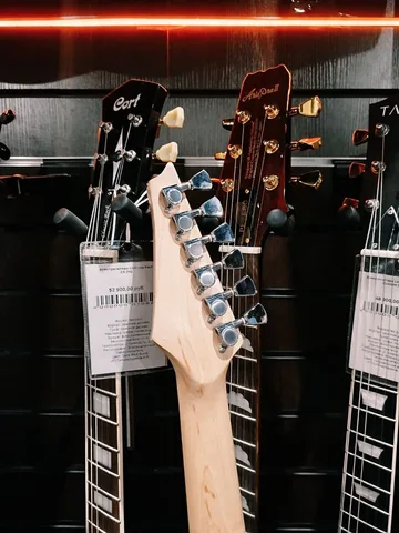 Электрогитара SuperStratocaster Alligator HH - изображение 10