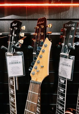Электрогитара SuperStratocaster Alligator HH - изображение 9