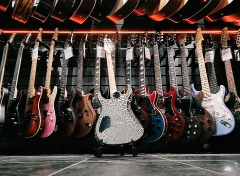 Электрогитара SuperStratocaster Alligator HH - изображение 2