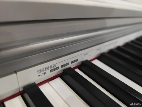 Цифровое Пианино Casio PX-870 (комплект, Япония)