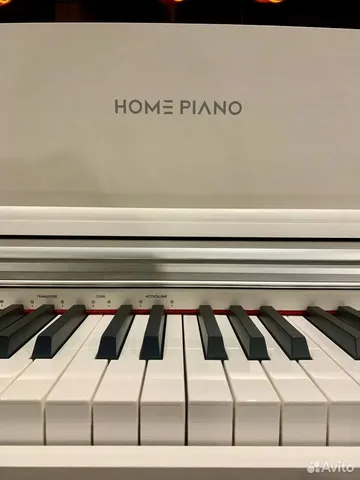 Цифровое Корпусное Пианино Home Piano WH