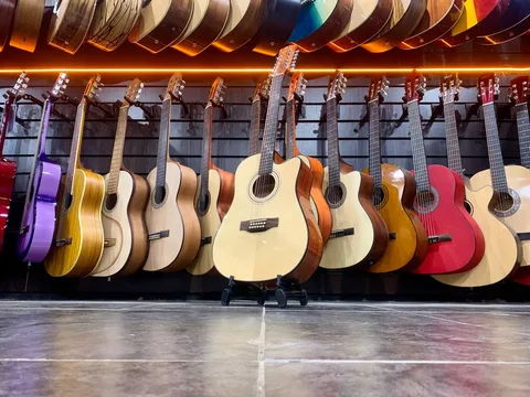 Электроакустическая Гитара EQ (12-ти струнная)