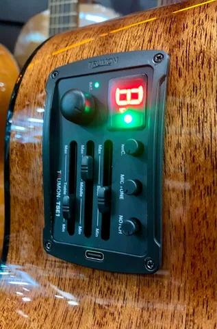 Электроакустическая Гитара Trumon 150 TF-SG-Е - изображение 5