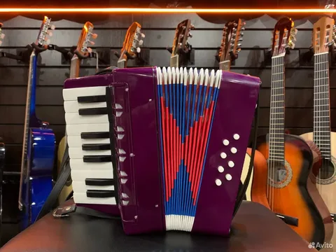 Аккордеон Детский с Ремнями (3-7 лет)