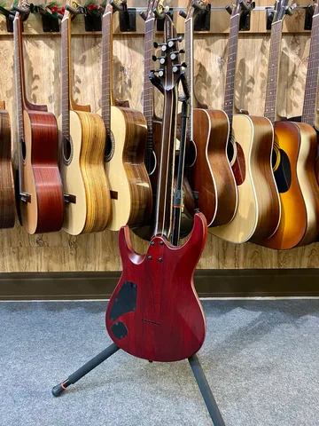 Электрогитара EART Guitars H6-PRO Natural - изображение 10