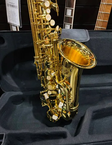 Саксофон + Кейс (полный комплект)