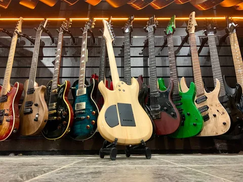 Электрогитара SuperStrat HSS - изображение 2