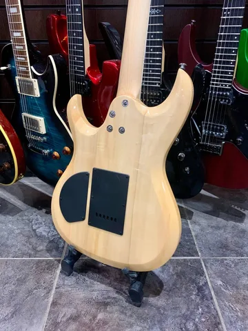 Электрогитара SuperStrat HSS - изображение 4