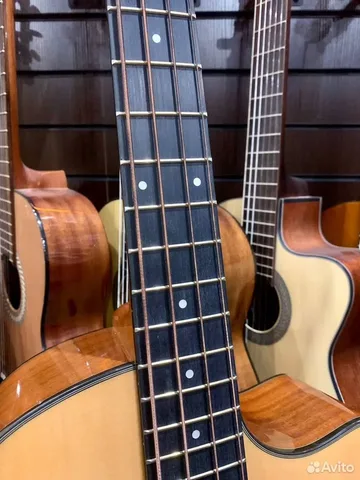 Акустический Бас с Подключением Peavey