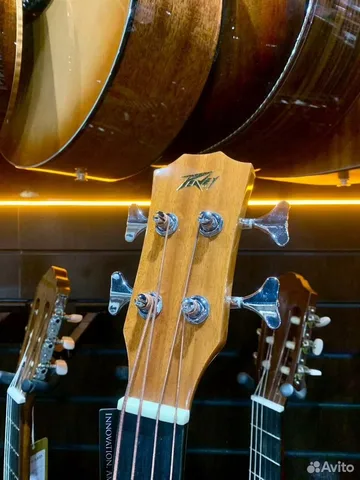Акустический Бас с Подключением Peavey