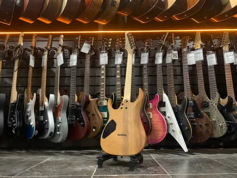 Электрогитара Ibanez RG 421 M  - изображение 2