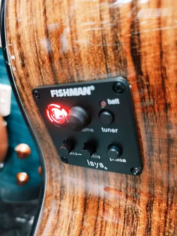 Электроакустика Kaspai 7/8 EQ с Fishman - изображение 6