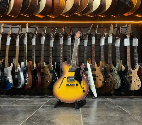 Полуакустическая Гитара Eart Guitar E-325 Tobacco - изображение 2
