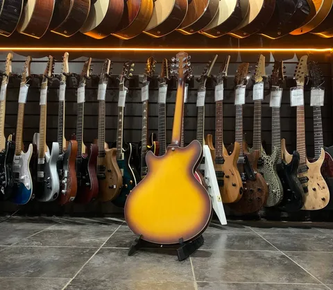 Полуакустическая Гитара Eart Guitar E-325 Tobacco - изображение 3