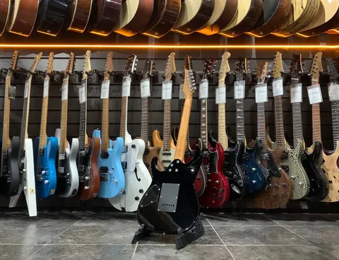 Электрогитара Bosstone SG-6 HHS Black Floyd Rose - изображение 2